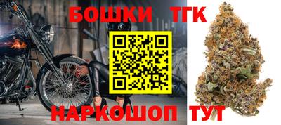 гашик Аргун