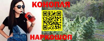 гашик Аргун