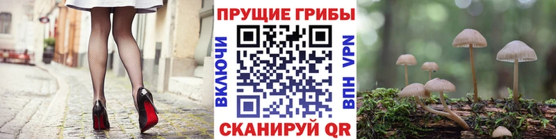Галлюциногенные грибы MAGIC MUSHROOMS  Йошкар-Ола 