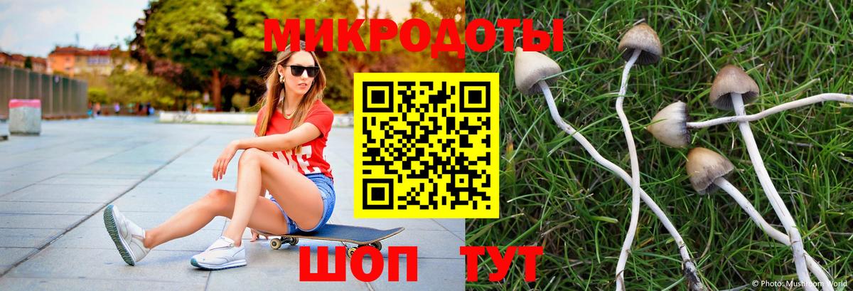 что такое наркотик  Вход с VPN  Йошкар-Ола  Галлюциногенные грибы Cubensis  Псилоцибиновые грибы Psilocybine cubensis 