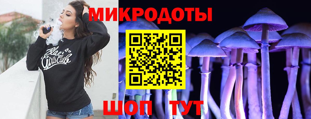 Псилоцибиновые грибы Psilocybe Йошкар-Ола